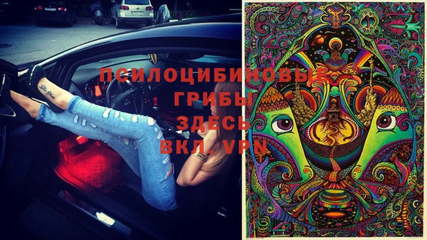 прущий лед Ладушкин