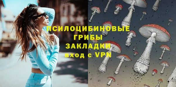 spice Лабытнанги