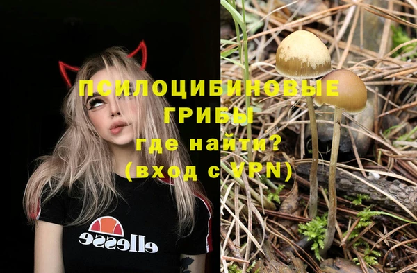 прущий лед Ладушкин